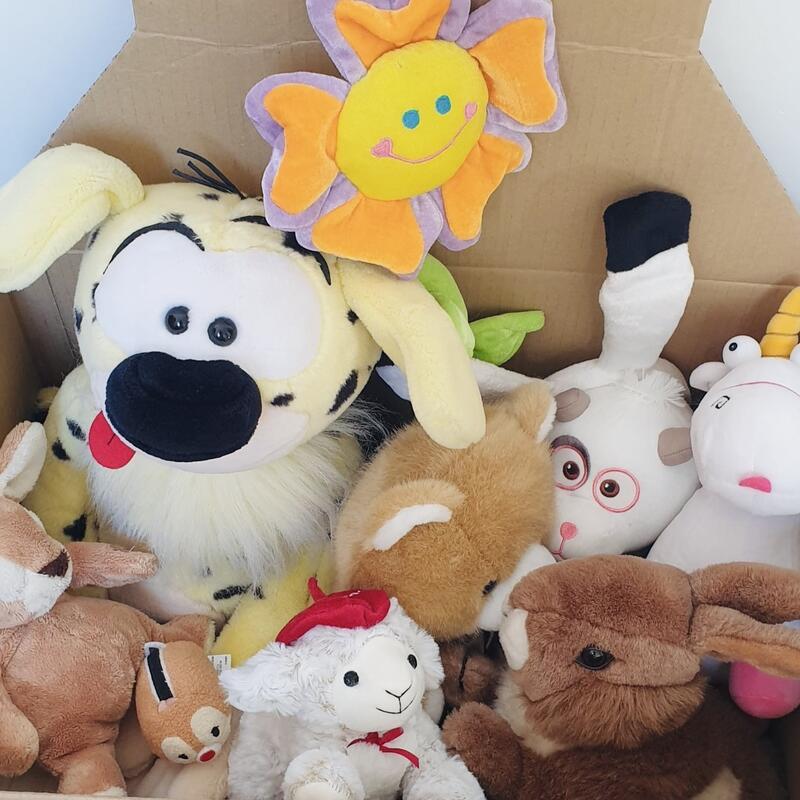 Vide maison chécy (45)