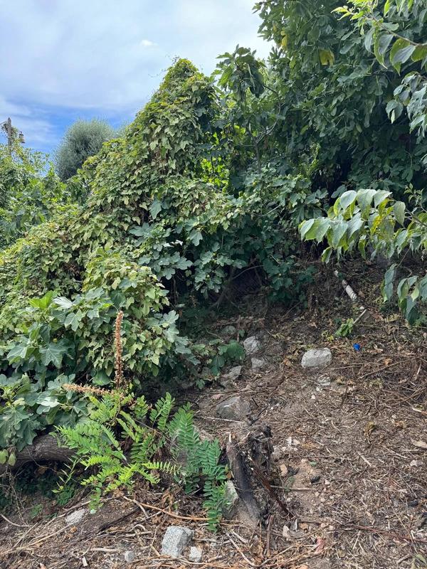 Maison - 210 m² - 8 pièces