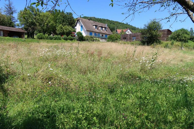 Terrain constructible - 982 m²