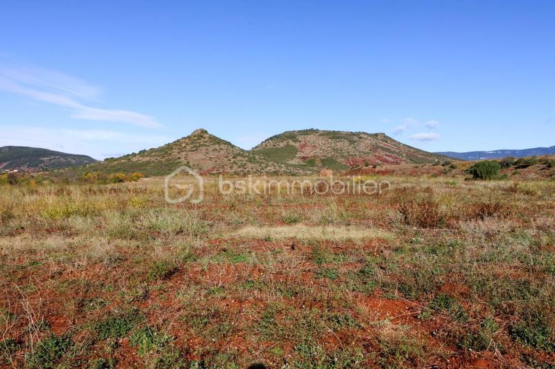 Terrain agricole - 12 406 m²