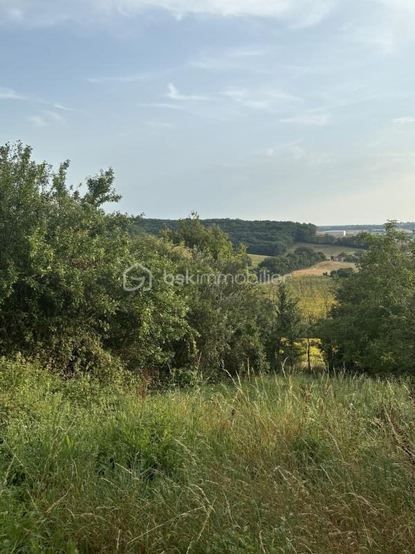 Terrain constructible - 1 013 m²