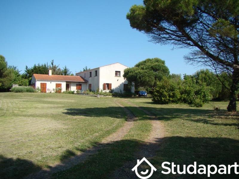 Chambre - 14 m² - 1 pièce