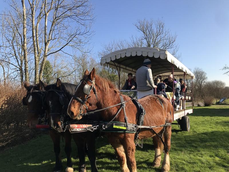 Les marais au rythme des chevaux