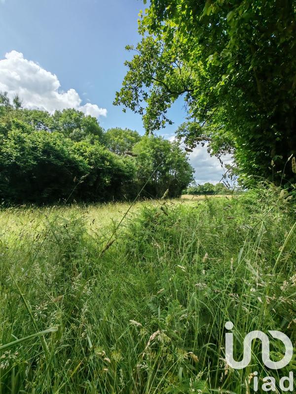 Terrain - 31 982 m²