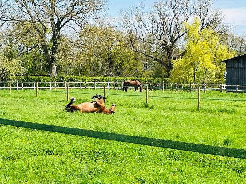 Maison - 395 m² - 14 pièces