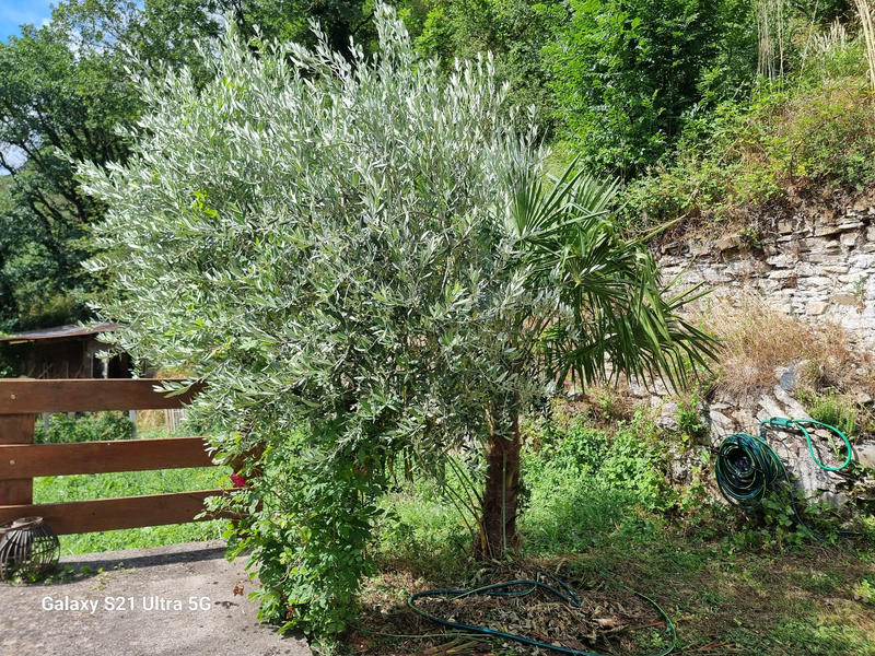 Maison - 146 m² - 6 pièces