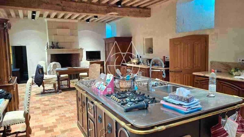 Château - 3 000 m² - 16 pièces