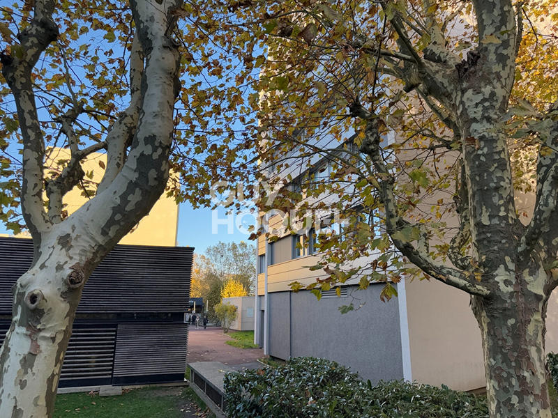 Appartement - 51 m² - 2 pièces