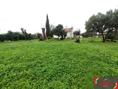 Maison - 70 m² - 4 pièces