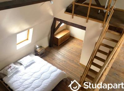 Chambre - 22 m² - 1 pièce