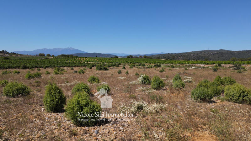 Terrain agricole - 10 255 m²