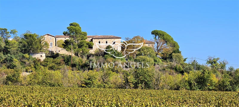 Mas - 2 500 m² - 30 pièces