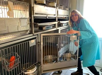 Clinique Vétérinaire Rascol-Madelenat