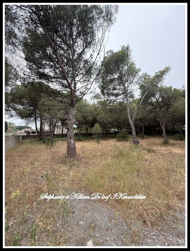 Terrain constructible - 1 001 m²