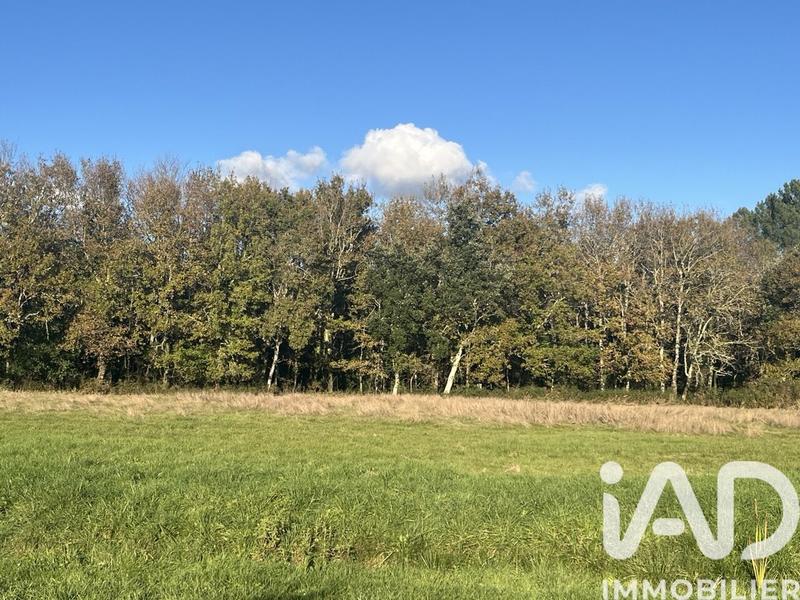 Maison de campagne - 150 m² - 5 pièces