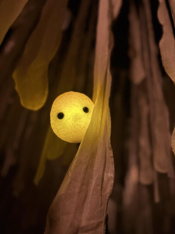 Spectacle : (É)mouvoir - Compagnie entre deux rives