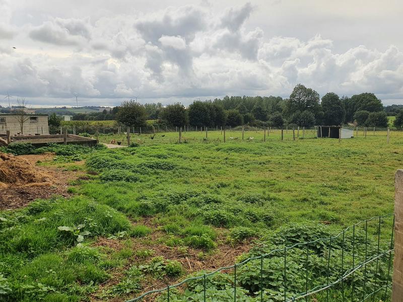 Maison - 112 m² - 4 pièces