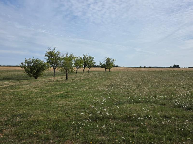 Maison - 106 m² - 4 pièces