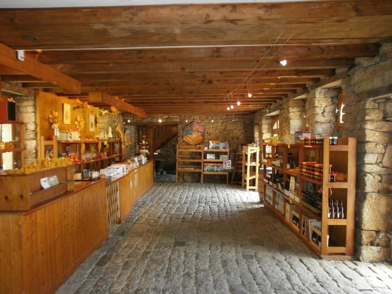 Propriété - 890 m² - 10 pièces