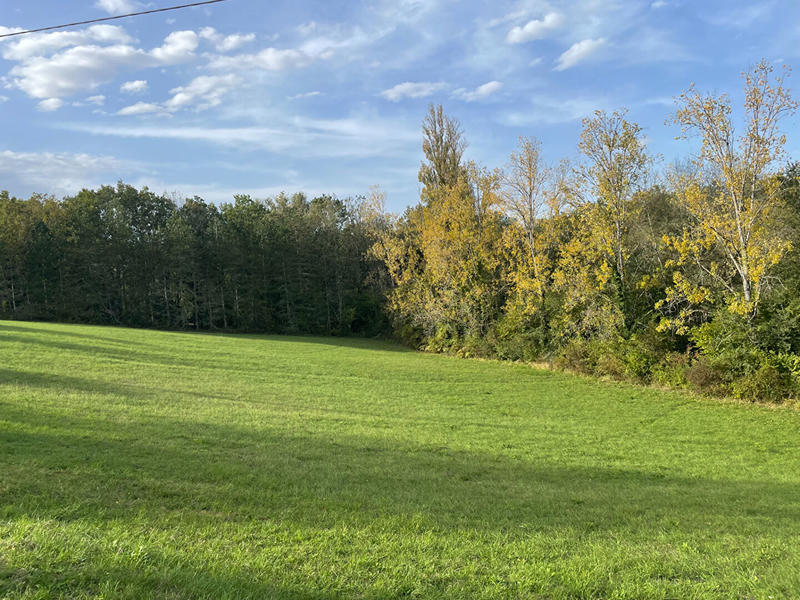 Maison - 55 m² - 2 pièces