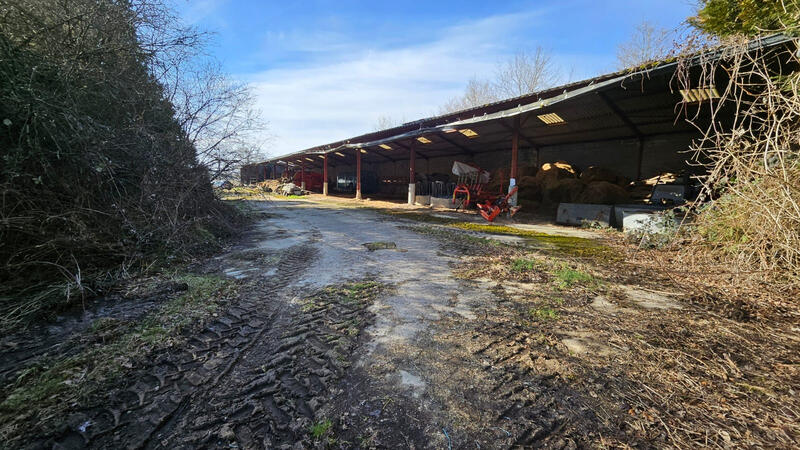 Terrain agricole - 278 467 m²