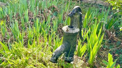 Maison - 254 m² - 8 pièces