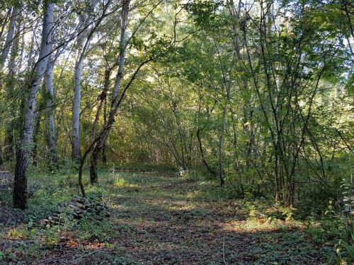 ô Bois Marin gites en Drôme Provençale