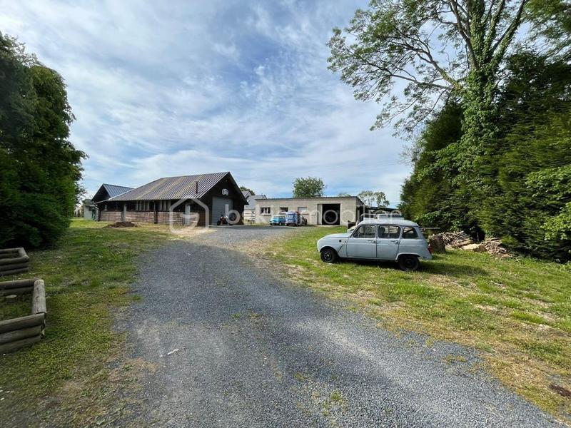 Atelier d'activités - 375 m² - 3 pièces