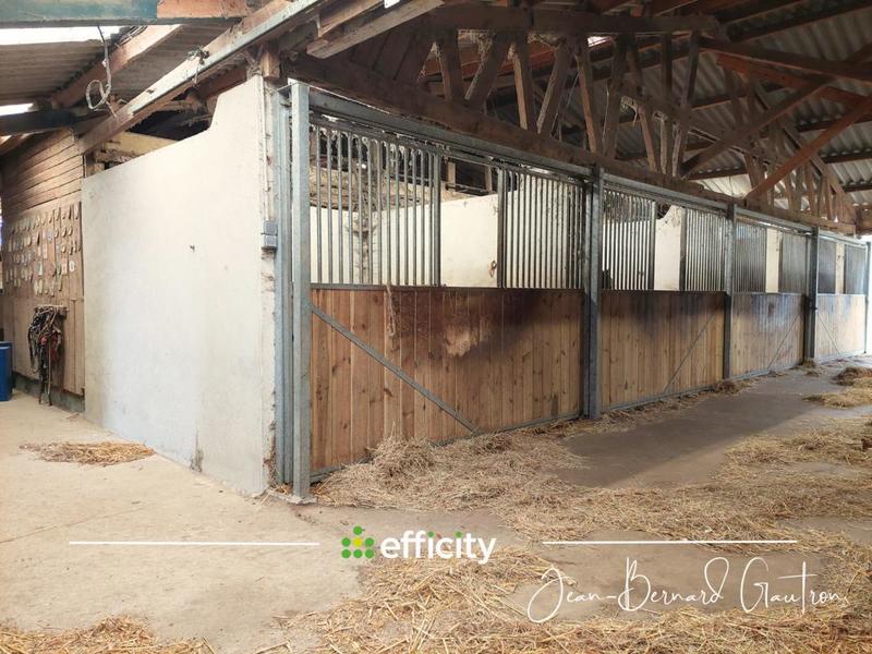 Maison de domaine équestre - 1 391 m² - 2 pièces