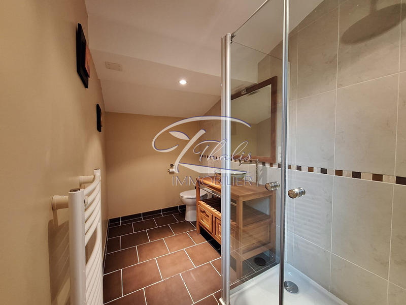 Maison ancienne - 294 m² - 10 pièces