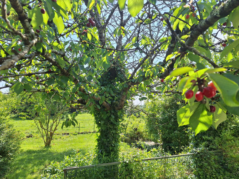 Maison - 122 m² - 5 pièces