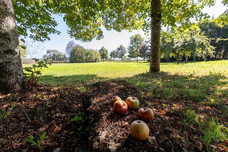 Propriété - 413 m² - 10 pièces