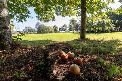 Propriété - 413 m² - 10 pièces