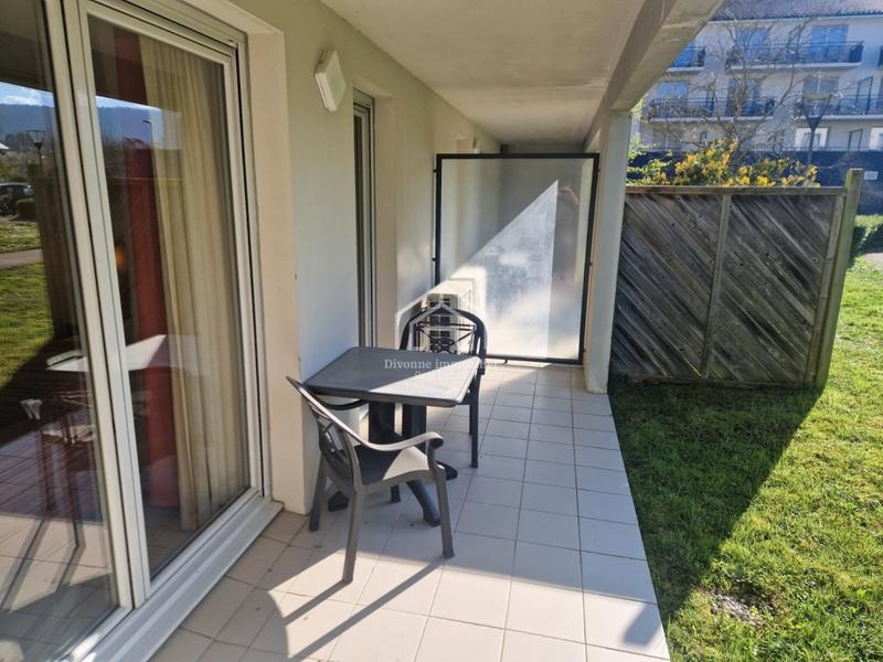 Studio - 31 m² - 1 pièce