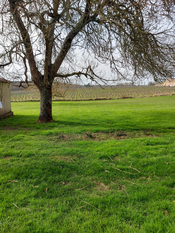 Maison - 151 m² - 7 pièces