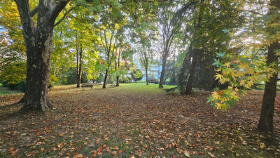 Appartement - 76 m² - 4 pièces