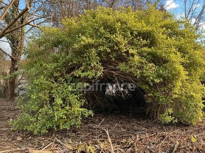 Maison de village - 100 m² - 4 pièces