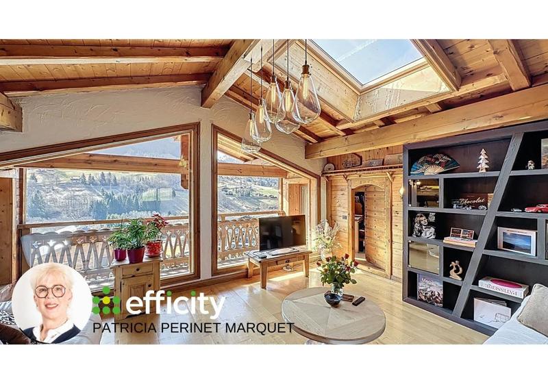 Châlet - 243 m² - 12 pièces