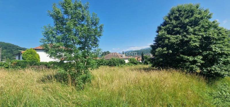 Terrain - 1 253 m²