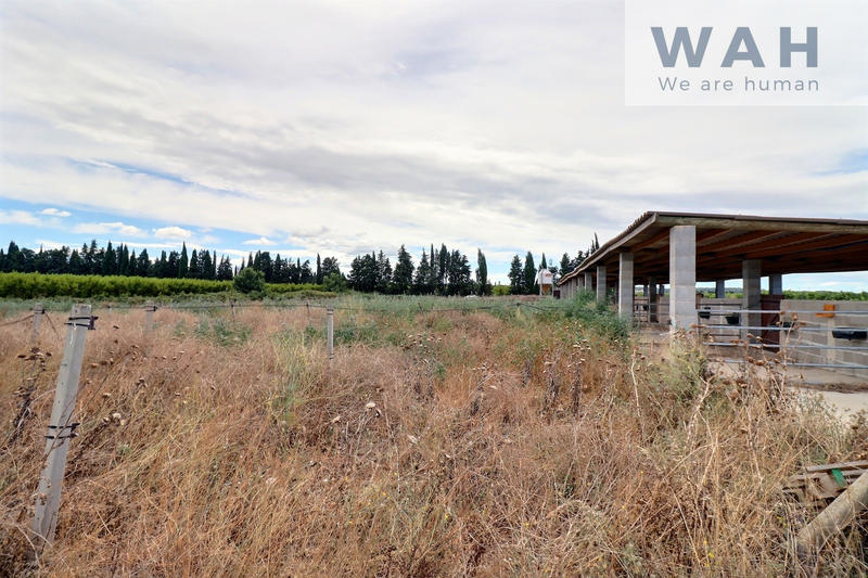 Terrain agricole - 2 513 m²