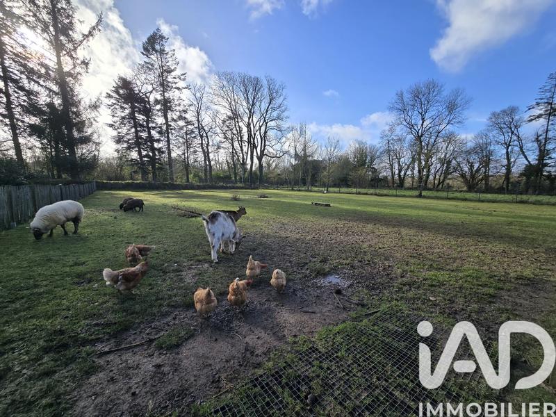 Maison - 145 m² - 6 pièces