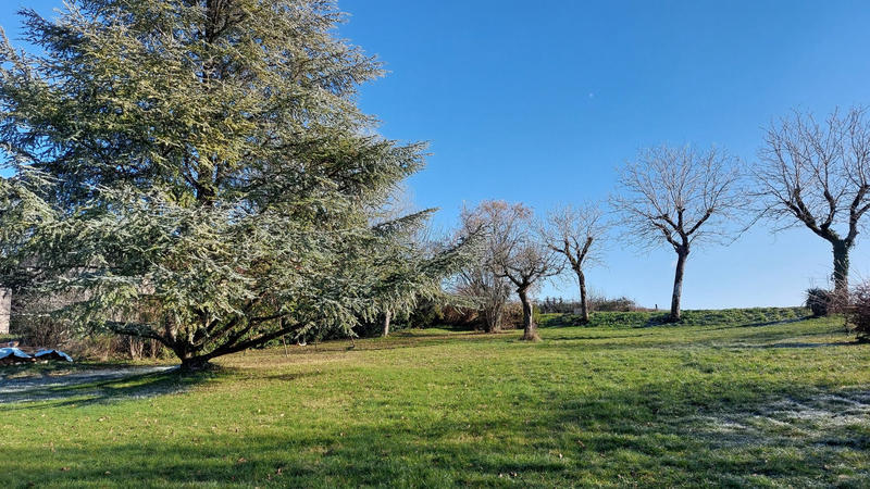 Maison - 197 m² - 8 pièces