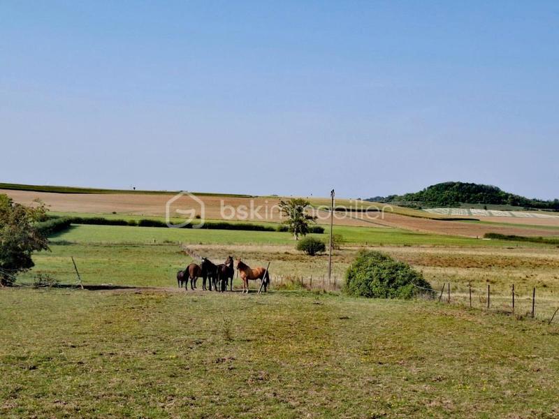 Maison de domaine équestre - 2 112 m² - 1 pièce