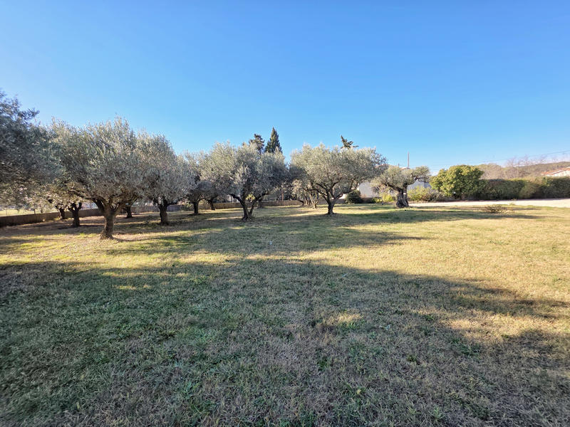 Maison - 141 m² - 6 pièces