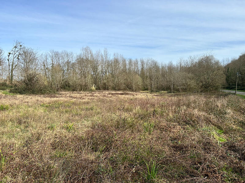 Terrain - 17 198 m²