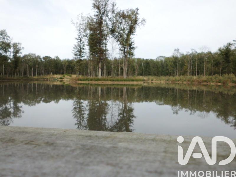 Terrain - 200 000 m²