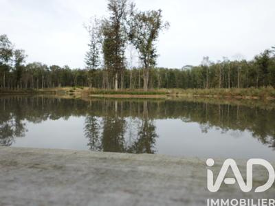 Terrain - 200 000 m²