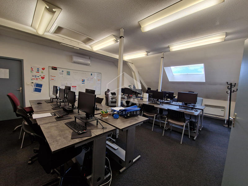 Local d'activité / Entrepôt - 425 m² - 17 pièces