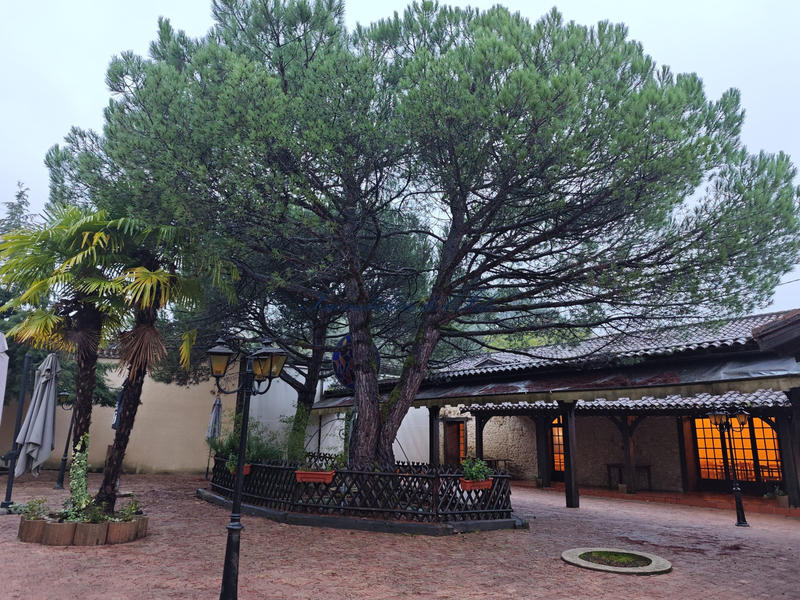 Maison - 535 m² - 14 pièces