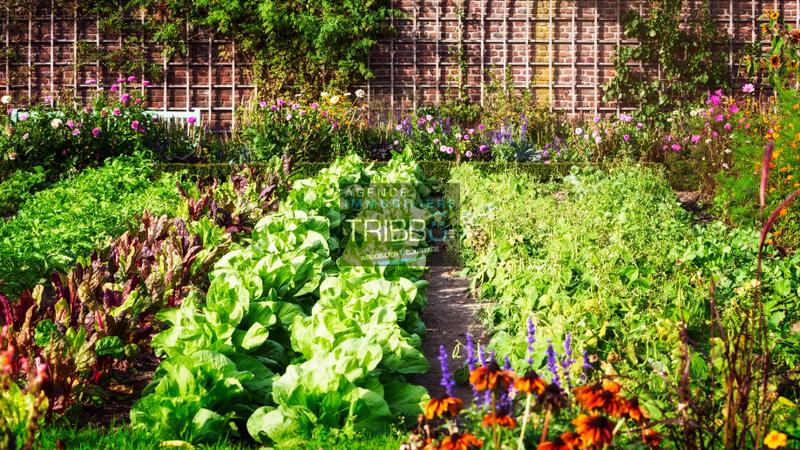 Terrain de loisirs - 217 m²